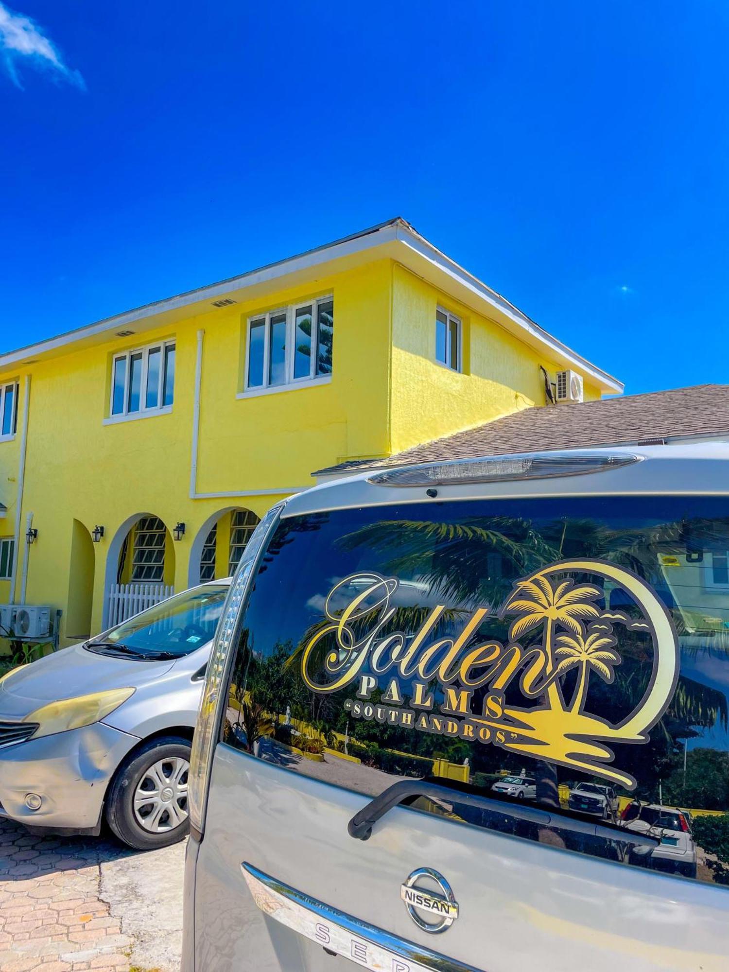 Golden Palm